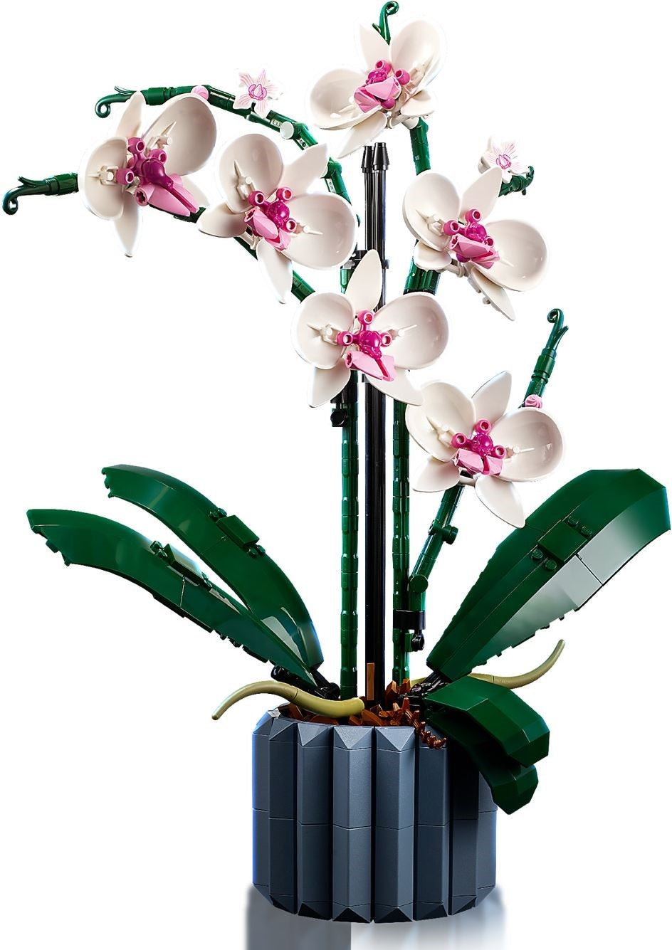 LEGO Orchid, 10311