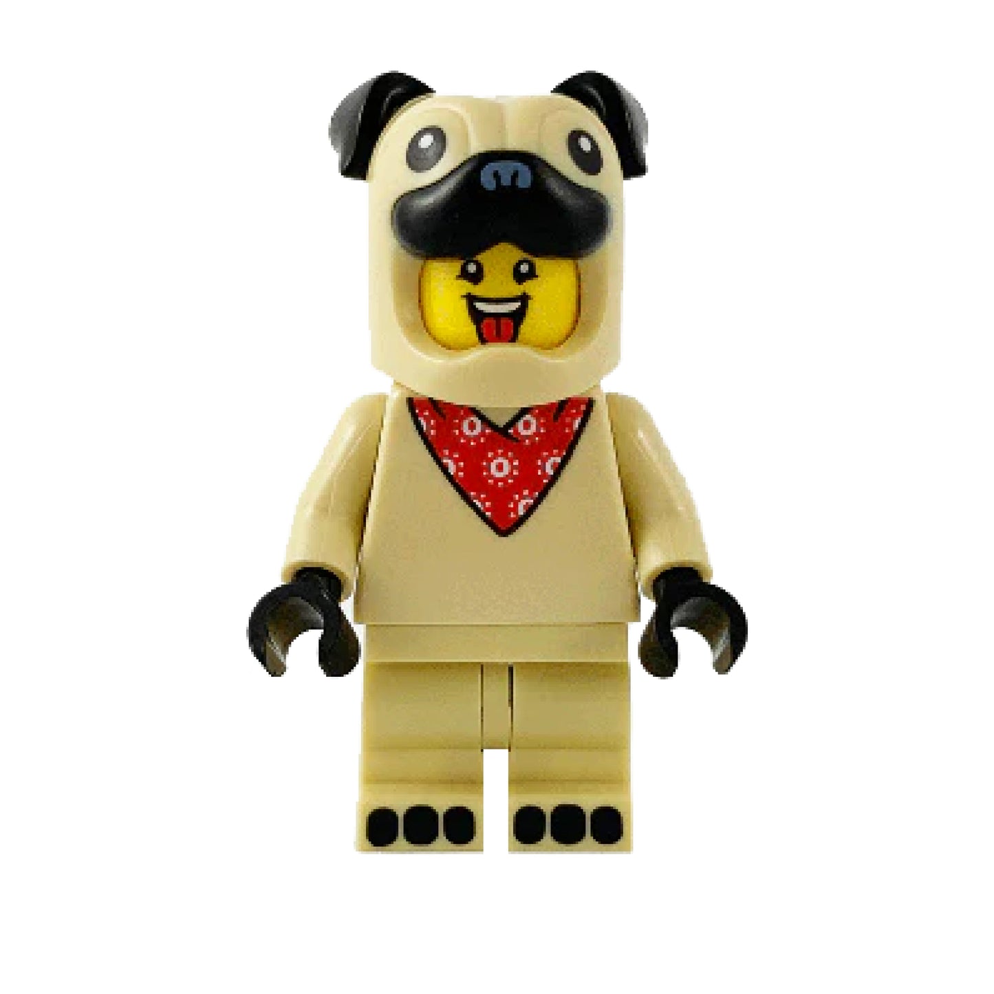 LEGO Series 21, Pug Costume Guy, COL378