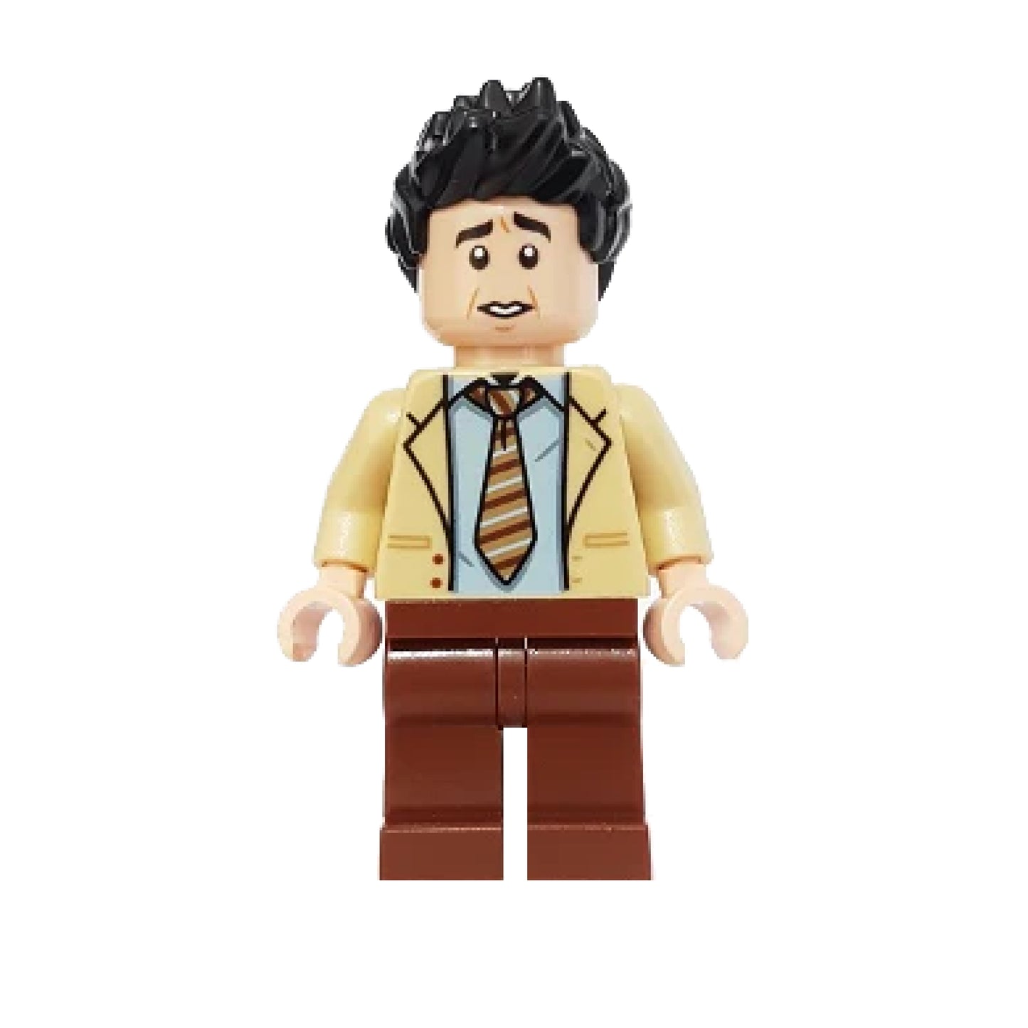 LEGO Friends The Series,Ross Geller, IDEA056
