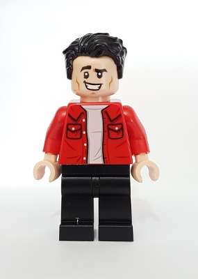 LEGO Friends The Series, Joey Tribbiani, IDEA060