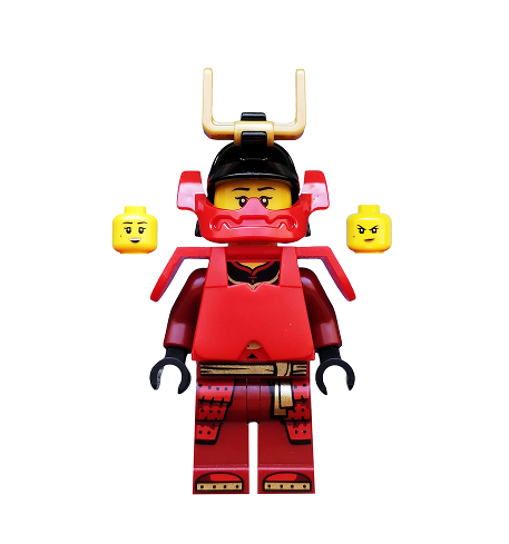 LEGO Ninjago, Samurai X Nya, NJO502